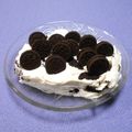 ＠迷子＠'s cooksnap of when they made 材料3つ★焼かないオレオチーズケーキ.