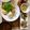 ☆あさ's cooksnap of when they made 鶏肉の照り焼きwith蓮根&舞茸.