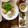 ☆あさ's cooksnap of when they made 鶏肉の照り焼きwith蓮根&舞茸.