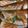 なぎなぎ's cooksnap of when they made 太刀魚煮付け❕.