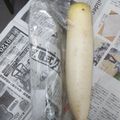 ささささ＆＊'s cooksnap of when they made 長持ち！大根の保存方法！【冷蔵保存】.