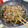 ちこぬ's cooksnap of when they made ✧簡単✧ 胡椒香る糸こんきんぴら.