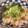 あーこ姐's cooksnap of when they made 【めんつゆで】❀なすと豚肉の煮浸し❀.