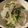 のんのんSTELLA's cooksnap of when they made 切干大根のさっぱりサラダ＊.