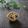 まろんかふぇ's cooksnap of when they made 舞茸のバタポン！レンジで簡単うまいたけ～.