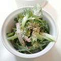 ここあo's cooksnap of when they made セロリとチクワのワサマヨサラダ.