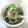 ここあo's cooksnap of when they made セロリとチクワのワサマヨサラダ.