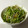 ミレーちゃん's cooksnap of when they made 水菜とザーサイの中華風サラダ★.