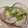 papikun's cooksnap of when they made 昆布茶が決め手！ かぶの浅漬け.