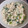 食いしん坊河童's cooksnap of when they made ほうれん草とりんごの白和え.