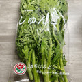 のんべぇヒロ's cooksnap of when they made ほうれん草や春菊に！青菜の保存法☆.