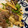 クックCTUCUP☆'s cooksnap of when they made 簡単！細切れ肉で作る！青椒肉絲.