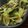 MULA's cooksnap of when they made ガーリック風味☆小松菜の塩昆布炒め.