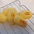 ☆すまいりぃ☆'s cooksnap of when they made 米粉で作る☆はちみつレモンマドレーヌ。.