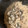 ふぁんころ's cooksnap of when they made 牡蠣の炊き込みごはん.