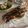 クック1K2O57☆'s cooksnap of when they made メバルの煮つけ.