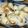 tikyu's cooksnap of when they made トースターで♪新玉ねぎのツナマヨ焼き.