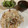 papikun's cooksnap of when they made サニーレタスは主役! 無限レタス.
