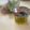 ブランディ's cooksnap of when they made ちょっと甘めのドレッシング.