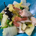 すのうこっとん's cooksnap of when they made ★無限系★白菜とささみの混ぜるだけサラダ.
