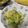 クックE662AA☆'s cooksnap of when they made とりあえずアボカド♬すぐおつまみ.