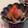 Dellaたん's cooksnap of when they made 簡単♪こんにゃくの煮付け.