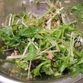 ヨシヨッシー's cooksnap of when they made 超簡単おいしい！水菜とツナの和風サラダ.