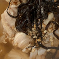 MULA's cooksnap of when they made ささみの出汁茶漬け.