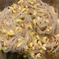 みき☆DROP's cooksnap of when they made オモニ直伝☆豆もやしナムル.