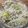しろねこにょっき's cooksnap of when they made 豚バラ白菜とえのきのうま煮.
