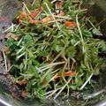 ほのりんママさん's cooksnap of when they made 【作り置き】豆苗の塩昆布サラダ.