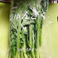 のんべぇヒロ's cooksnap of when they made ほうれん草や春菊に！青菜の保存法☆.