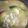 クック6LNQ0X☆'s cooksnap of when they made タラの切り身で☆鱈汁.