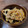 LANAROY's cooksnap of when they made おつまみにおかずに！揚げごぼうの甘辛だれ.