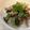 ♥︎atk♥︎'s cooksnap of when they made 豚肉と大葉のガーリック炒め.