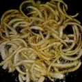 ルパンⅣ世's cooksnap of when they made 捨てないで！大根の皮でフライドダイコン.