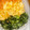 __おもち's cooksnap of when they made 三色丼（そぼろ・たまご・小松菜）.