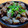 ちくわ君's cooksnap of when they made 圧力鍋が無くても大丈夫♪とろとろ牛すじ.