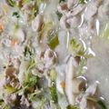 あゆたっくん's cooksnap of when they made 疲れた体に！梅でさっぱりしゃぶしゃぶ鍋.