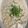 nikopunnn's cooksnap of when they made ☆明太子クリームうどん☆.