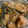 sao050902's cooksnap of when they made れんこんとかぼちゃの鶏肉甘酢炒め.
