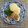 horseland's cooksnap of when they made いちじくのソテー　アイス添え.
