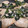 fu♪♪'s cooksnap of when they made 鶏肉とほうれん草とわさポン炒め.