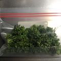 こつゆ514's cooksnap of when they made パセリの保存法（冷凍）.
