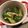 こつゆ514's cooksnap of when they made きゅうりの辛味漬け.