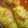 クックR3OFP5☆'s cooksnap of when they made 豆腐入りロールキャベツ♡トマトソース.