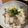 みるきぃ～2's cooksnap of when they made 煮物をリメイク☆炊き込みご飯.