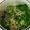 ♪ミチル♪'s cooksnap of when they made 菜の花としらすの炒め物.