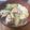 ミアンミアン's cooksnap of when they made ネギたっぷり♡温かい鶏ネギ蕎麦.