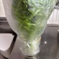 Kirin♬'s cooksnap of when they made 水菜・セロリ等の保存方法♪.